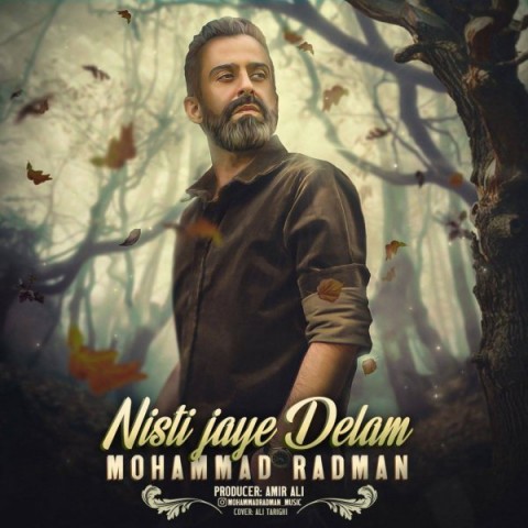 دانلود آهنگ نیستی جای دلم محمد رادمان